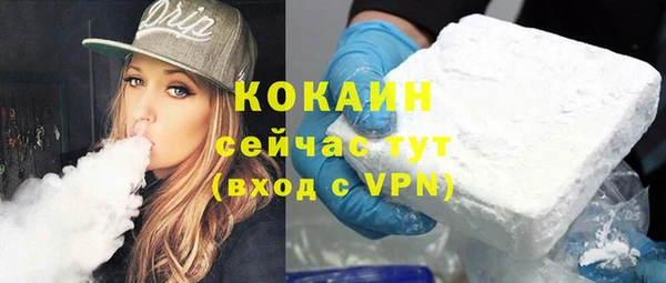 гашик Верея