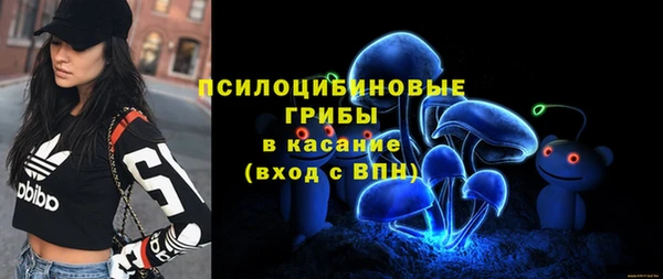 гашик Верея