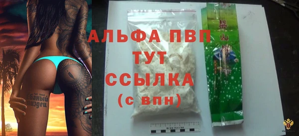 индика Верхний Тагил