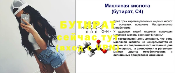 гашик Верея