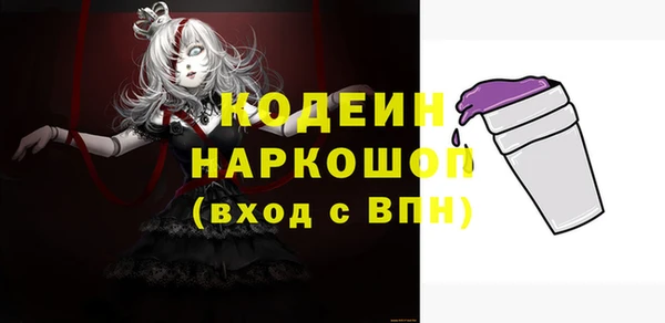 индика Верхний Тагил