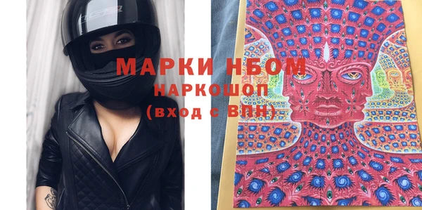 индика Верхний Тагил