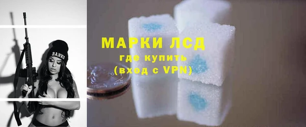 индика Верхний Тагил