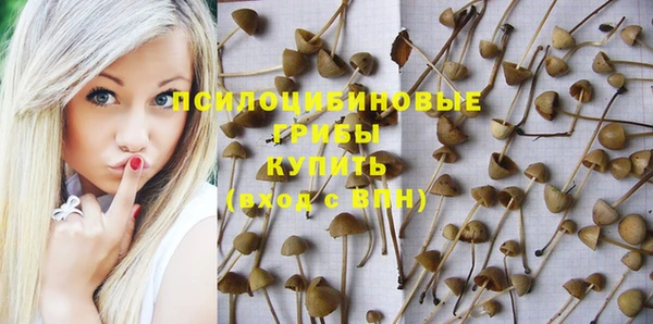 гашик Верея