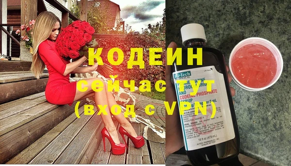 индика Верхний Тагил