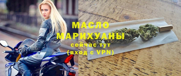 индика Верхний Тагил