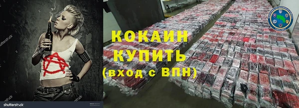 гашик Верея