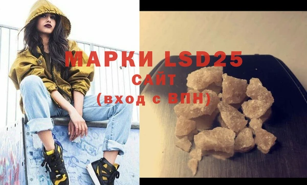 гашик Верея