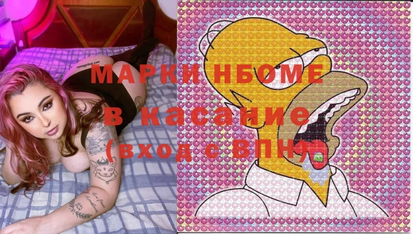 гашик Верея