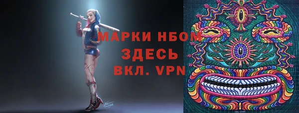 гашик Верея