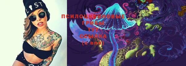 индика Верхний Тагил