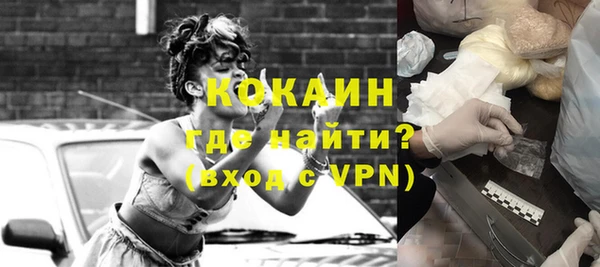 индика Верхний Тагил