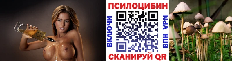 где найти   Пермь  Псилоцибиновые грибы мухоморы 